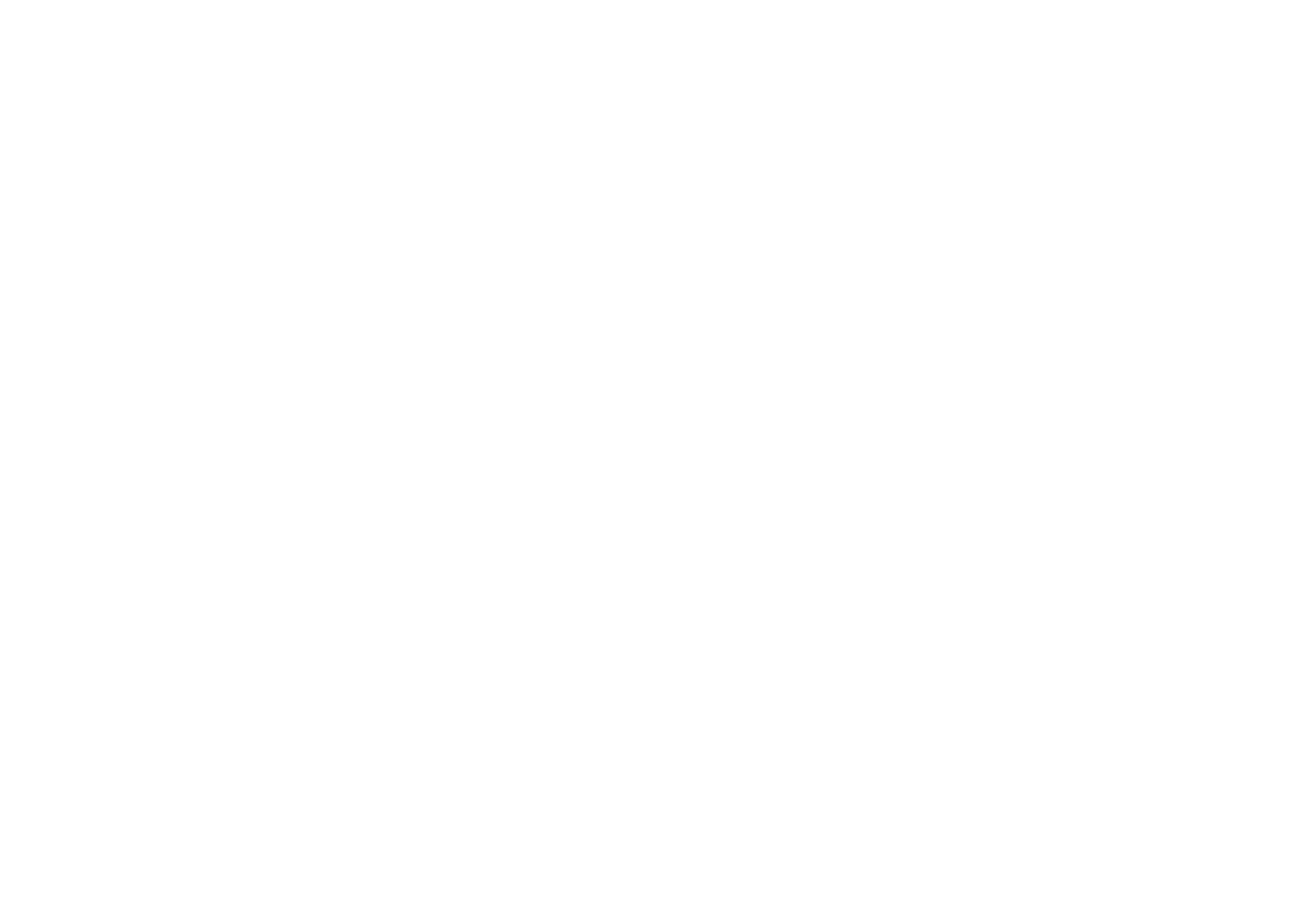light logo